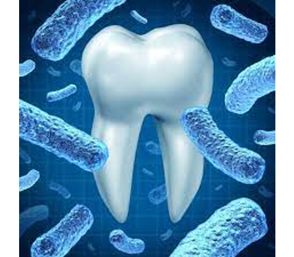 Oral Pathology